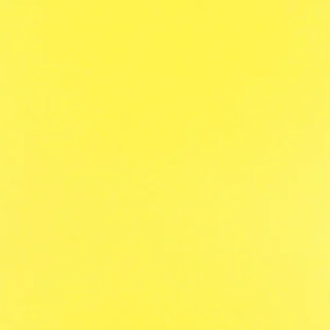 Panther X6 Post - 80HC