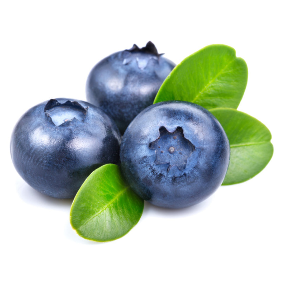 Outlaw X7 - 30CIHB (Huckleberry)