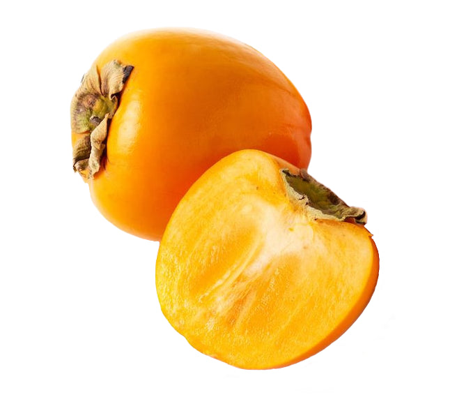 Outlaw X6 - 58CIP (Kaki)