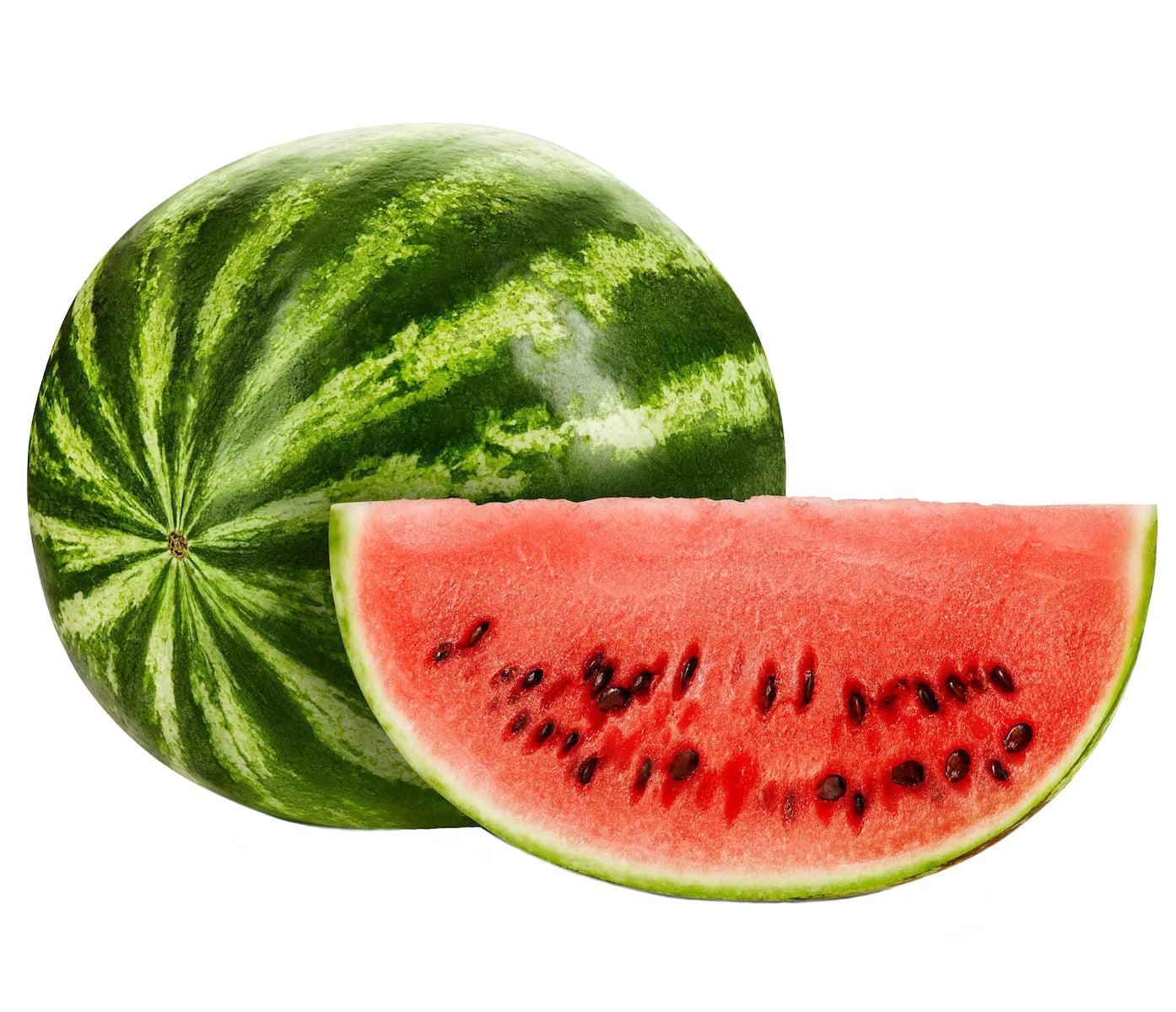 Outlaw X6 - 60CHCW (Wassermelone) Kreuzdominanz Rechtsschütze