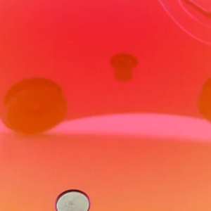 31CIHP.png