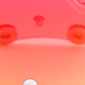 50CIS.png