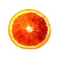Wechselglas Top Gun X6 56CIBO in Blutorange von Pilla, zeigt ein orangefarbenes, transparentes Brillenglas für Sportbrillen.