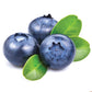 Blaubeere