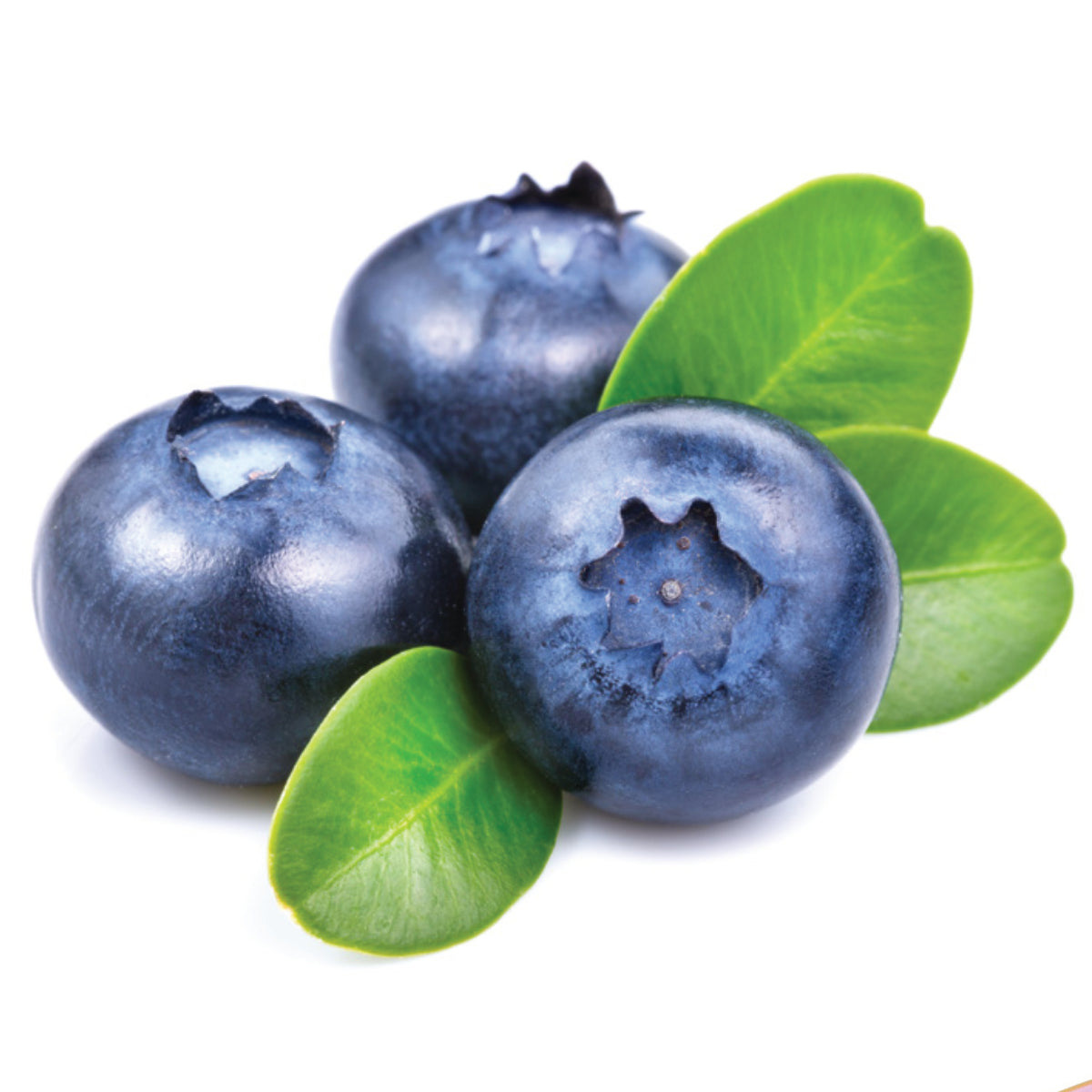 Blaubeere