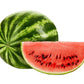 Pilla Outlaw X6 60CHCW Wechselglas mit Wassermelonen-Design, klare Sicht, passend für Brillen, Nahaufnahme