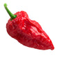 Vista Slim Glas 21CIHP Ghost Pepper Wechselglas von Pilla, transparent, mit scharfen Ghost Pepper Design, klar sichtbar.