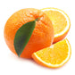 Orangenseitiges Vista Slim Wechselglas von Pilla, 60 cm, für elegante Glasvorrichtungen.