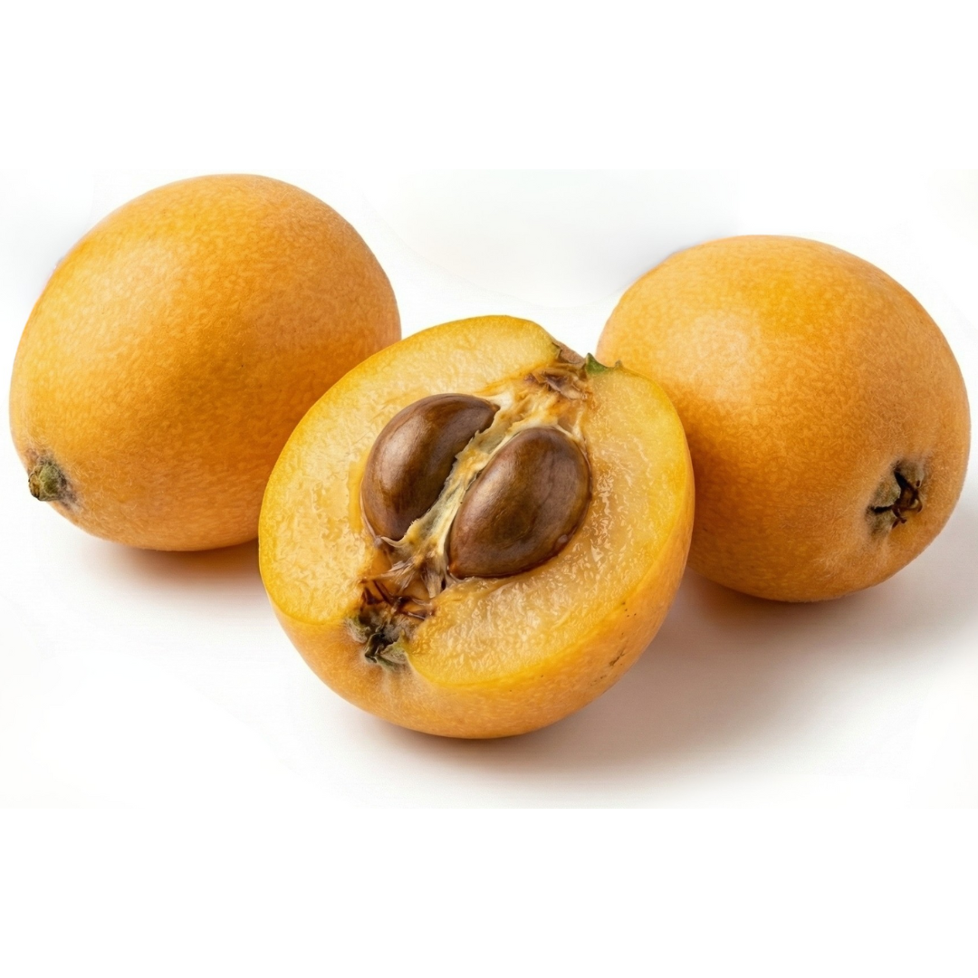 Wechselglas Top Gun X6 78CIHC von Pilla, Wollmispel-Design, zeigt das Glas mit Wollmispel-Motiv in klarer Darstellung.