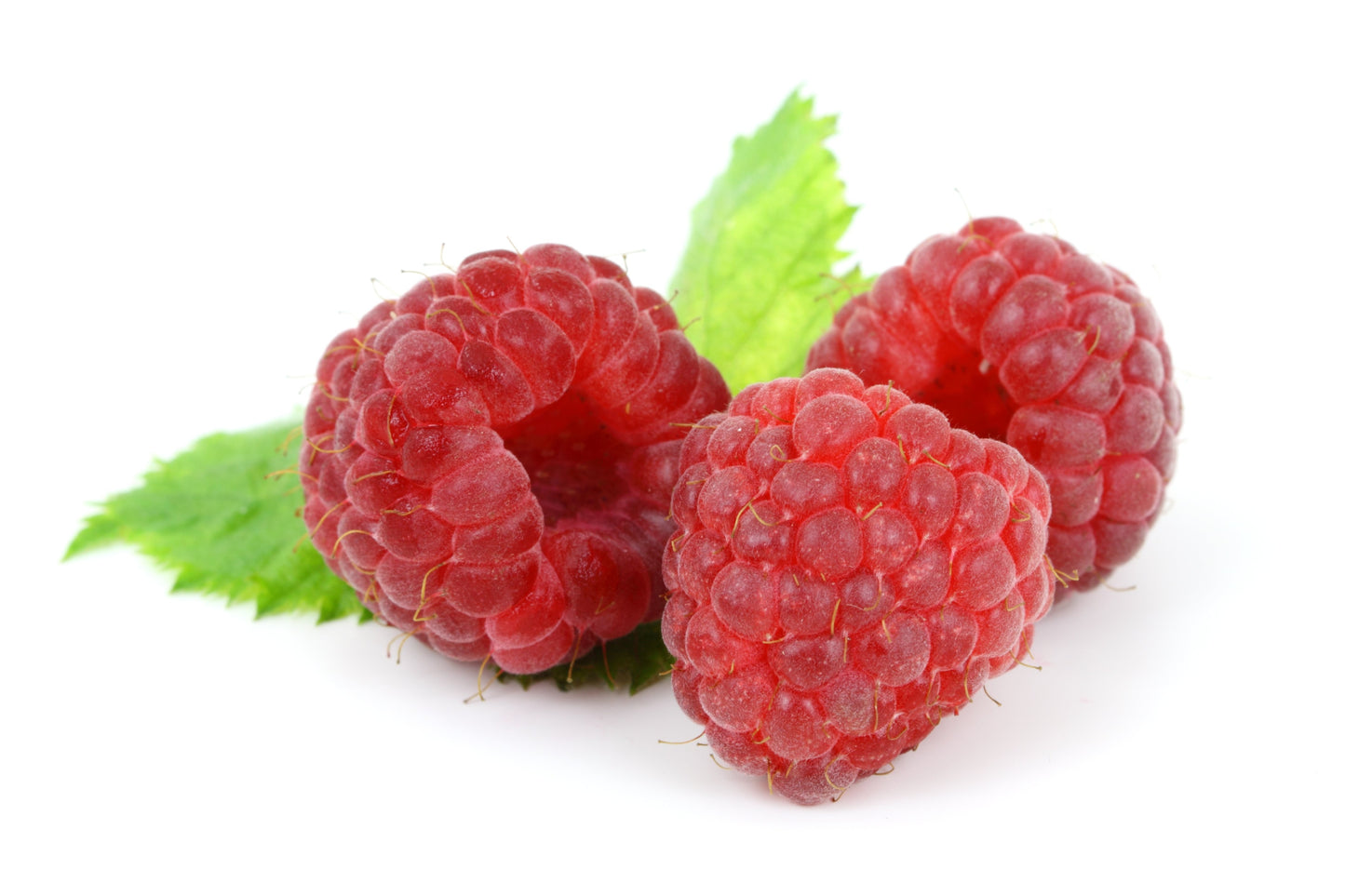 Outlaw X6 - 28CR (Raspberry)