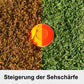 Pilla Outlaw X6 38CIED Wechselglas für verbessertes Sehvermögen, abgebildet auf erklärendem Bild zur Sehstärkensteigerung.